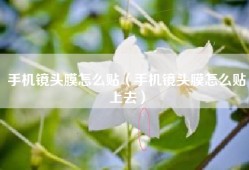 手机镜头膜怎么贴（手机镜头膜怎么贴上去）