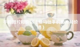 手机图片和价格（爱马仕手机图片和价格）