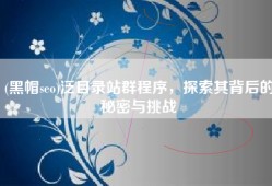 (黑帽seo)泛目录站群程序，探索其背后的秘密与挑战