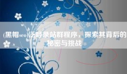 (黑帽seo)泛目录站群程序，探索其背后的秘密与挑战
