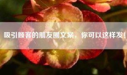 吸引顾客的朋友圈文案，你可以这样发！