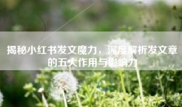 揭秘小红书发文魔力，深度解析发文章的五大作用与影响力