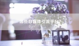 哪些自媒体引流平台？