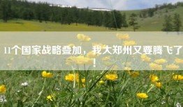 11个国家战略叠加，我大郑州又要腾飞了！