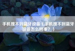 手机搜不到蓝牙设备（手机搜不到蓝牙设备怎么回事？）