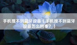 手机搜不到蓝牙设备（手机搜不到蓝牙设备怎么回事？）