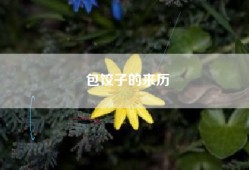 包饺子的来历