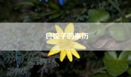 包饺子的来历