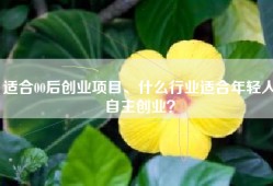适合00后创业项目、什么行业适合年轻人自主创业？