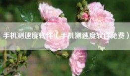 手机测速度软件（手机测速度软件免费）