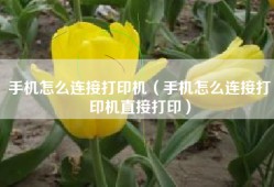 手机怎么连接打印机（手机怎么连接打印机直接打印）
