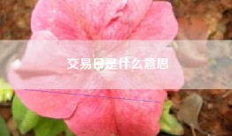 交易日是什么意思