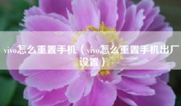 vivo怎么重置手机（vivo怎么重置手机出厂设置）