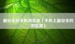 最安全的手机浏览器（手机上最安全的浏览器）