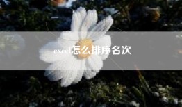 excel怎么排序名次