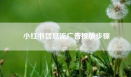 小红书信息流广告投放步骤