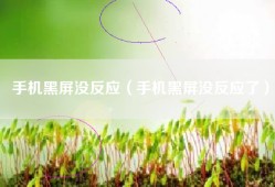 手机黑屏没反应（手机黑屏没反应了）