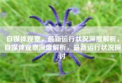 自媒体观察，最新运行状况深度解析，自媒体观察深度解析，最新运行状况探讨