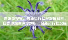 自媒体观察，最新运行状况深度解析，自媒体观察深度解析，最新运行状况探讨