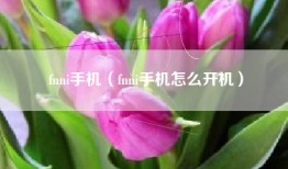 fnni手机（fnni手机怎么开机）