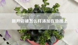 新开店铺怎么样添加在地图上