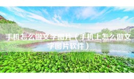 手机怎么做文字图片（手机上怎么做文字图片软件）