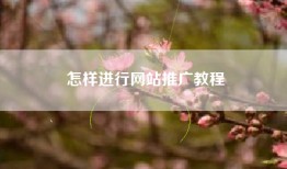 怎样进行网站推广教程