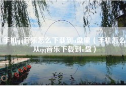 手机qq音乐怎么下载到u盘里（手机怎么从qq音乐下载到u盘）