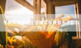 手机文件查看（手机文件查看不了怎么办）