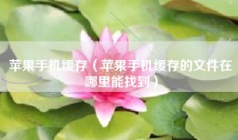 苹果手机缓存（苹果手机缓存的文件在哪里能找到）