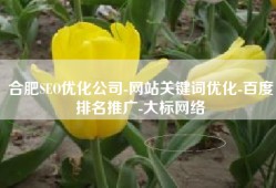 合肥SEO优化公司-网站关键词优化-百度排名推广-大标网络