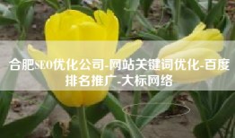 合肥SEO优化公司-网站关键词优化-百度排名推广-大标网络