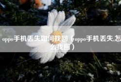 oppo手机丢失如何找回（oppo手机丢失,怎么找回）