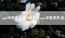 oppo手机丢失如何找回（oppo手机丢失,怎么找回）