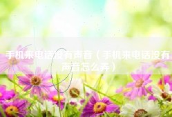 手机来电话没有声音（手机来电话没有声音怎么弄）