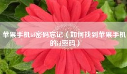 苹果手机id密码忘记（如何找到苹果手机的id密码）
