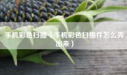 手机彩色扫描（手机彩色扫描件怎么弄出来）
