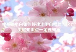 零基础小白如何快速上手自媒体？这4个关键知识点一定要知道
