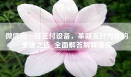 微信碰一碰支付设备，革新支付方式的便捷之选_全面解答解释落实