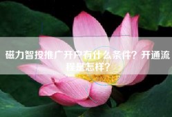 磁力智投推广开户有什么条件？开通流程是怎样？