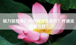 磁力智投推广开户有什么条件？开通流程是怎样？