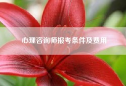 心理咨询师报考条件及费用