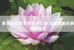 蔡卓宜百度发生了什么事 结婚离婚的事情被曝光