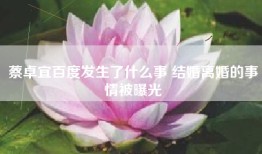 蔡卓宜百度发生了什么事 结婚离婚的事情被曝光