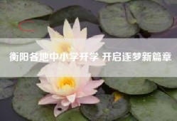 衡阳各地中小学开学 开启逐梦新篇章