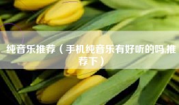 纯音乐推荐（手机纯音乐有好听的吗,推荐下）