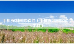 手机强制删除软件（手机强制删除软件工具）