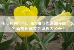 头部短剧平台、MCN和创作者都在聊什么？新榜短剧大会议程大公开！