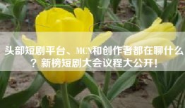头部短剧平台、MCN和创作者都在聊什么？新榜短剧大会议程大公开！