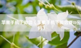 苹果手机下微信（苹果手机下微信要ID密码）